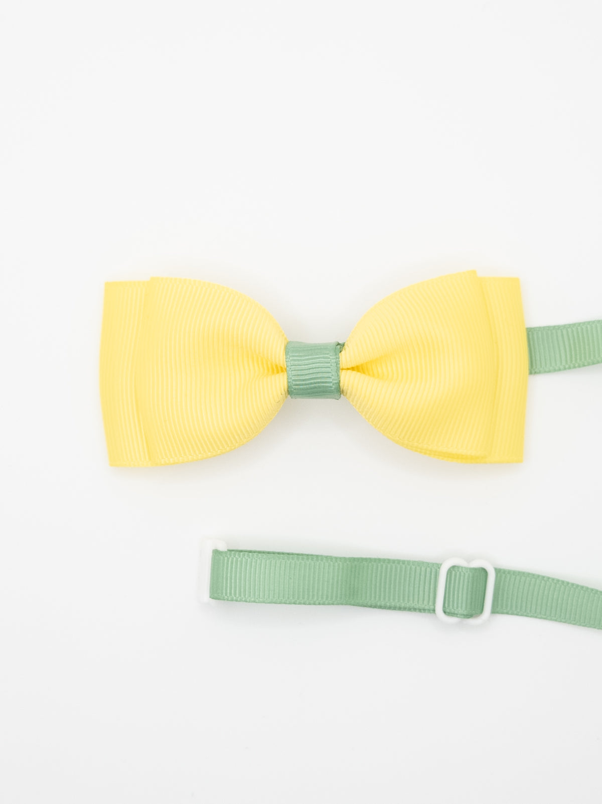 Two Coloured Classic Pet Bow