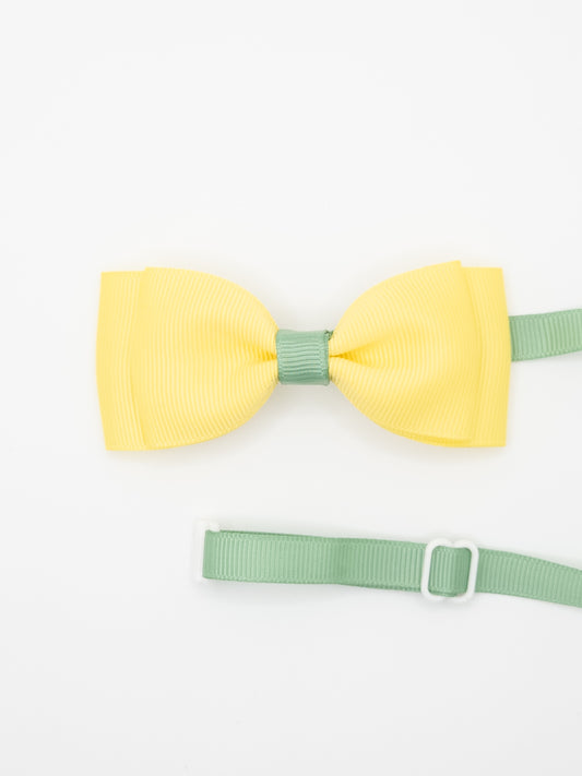 Two Coloured Classic Pet Bow