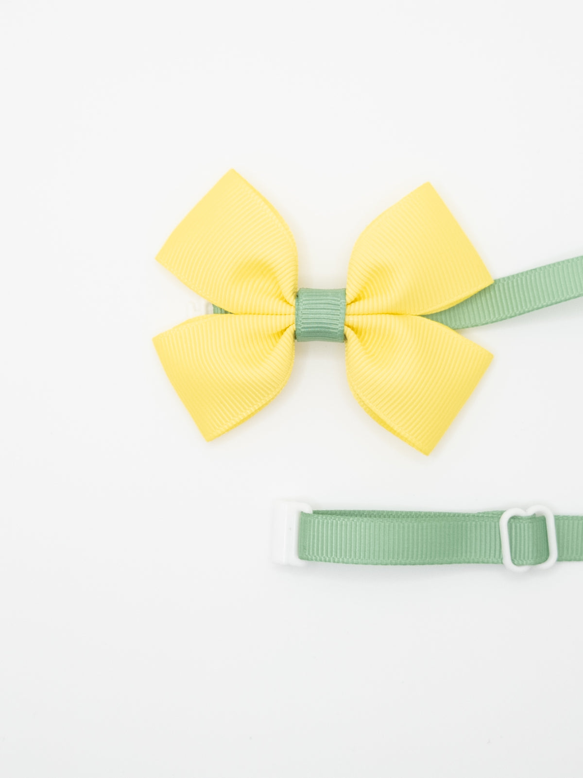 Two Coloured Double Bow Pet Bow