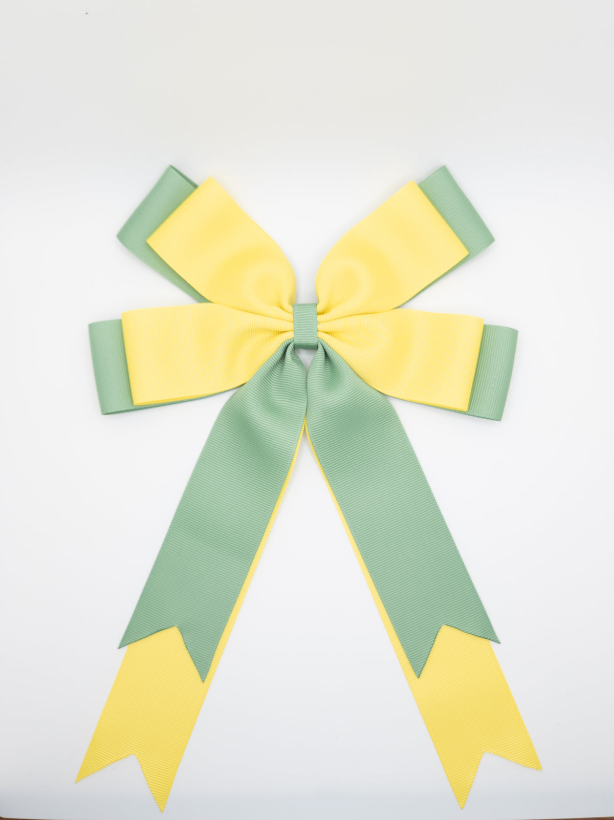Two Coloured Statement Bow